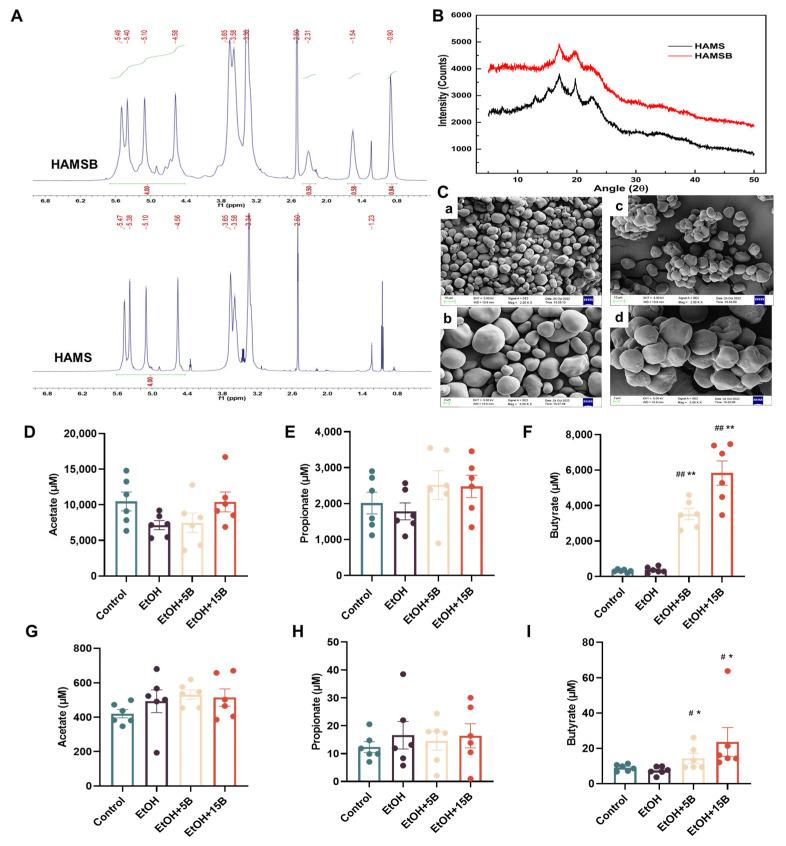 https://cdn.ncbi.nlm.nih.gov/pmc/blobs/f733/11395132/5e3b9fa83d05/ijms-25-09420-g001.jpg