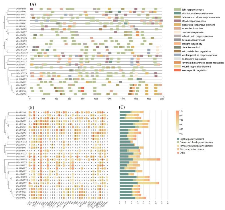 https://cdn.ncbi.nlm.nih.gov/pmc/blobs/f734/11121392/25a5813a4bf9/ijms-25-05352-g006.jpg