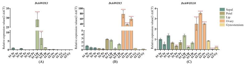 https://cdn.ncbi.nlm.nih.gov/pmc/blobs/f734/11121392/6df79409f70d/ijms-25-05352-g008.jpg