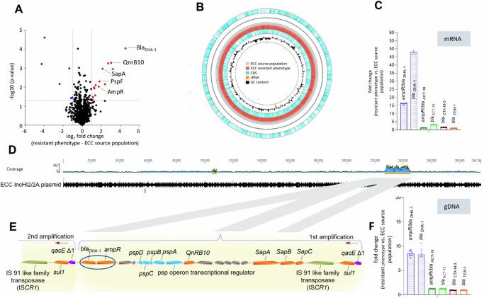 https://cdn.ncbi.nlm.nih.gov/pmc/blobs/f734/11846870/1bac66a38a37/44259_2025_82_Fig2_HTML.jpg