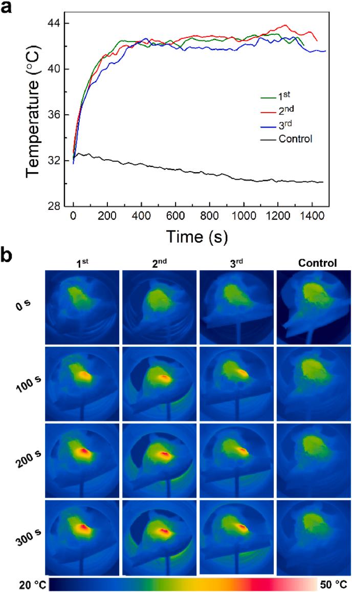 https://cdn.ncbi.nlm.nih.gov/pmc/blobs/f736/11140189/fa7da4cebd87/gr8.jpg