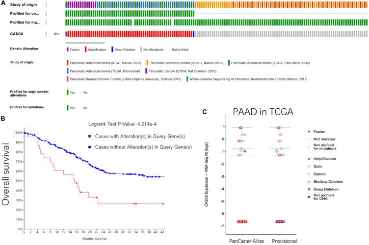 https://cdn.ncbi.nlm.nih.gov/pmc/blobs/f736/7287184/0a95d07ef988/fcell-08-00392-g003.jpg