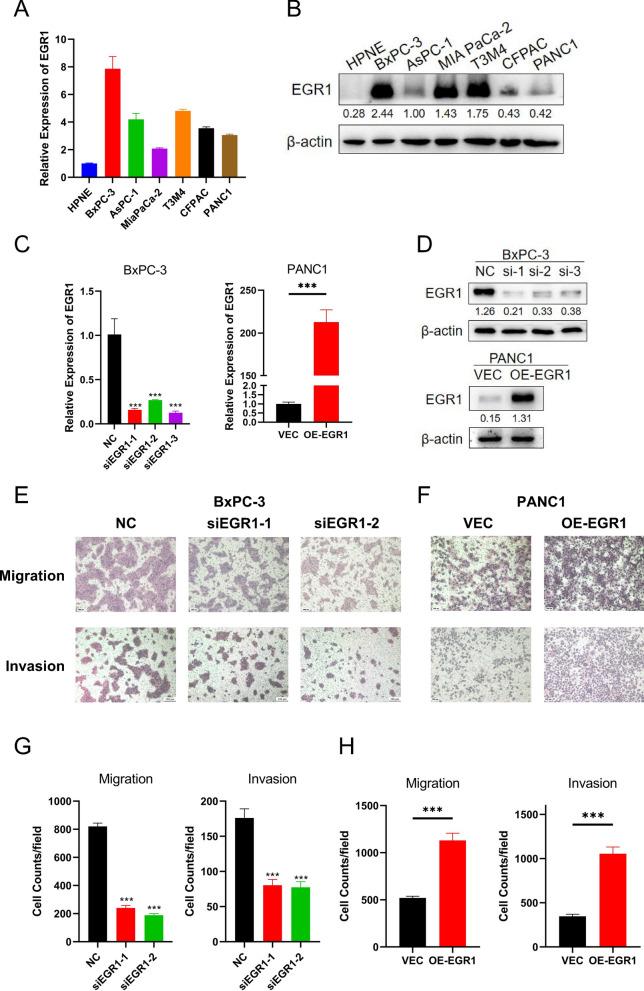 https://cdn.ncbi.nlm.nih.gov/pmc/blobs/f73c/10021983/e456178b4e56/12967_2023_4043_Fig2_HTML.jpg