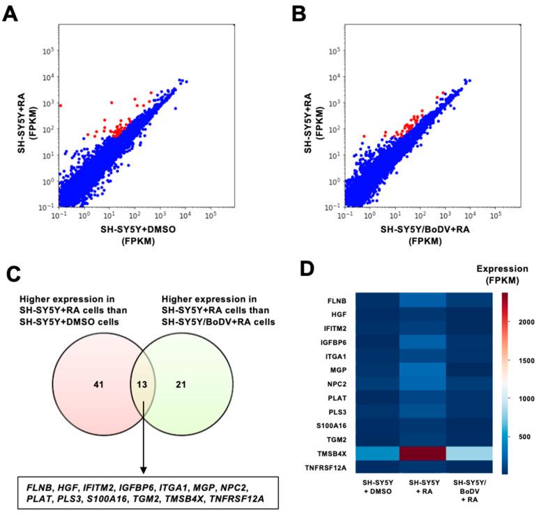 https://cdn.ncbi.nlm.nih.gov/pmc/blobs/f73c/10145824/856172eea357/viruses-15-00942-g002.jpg