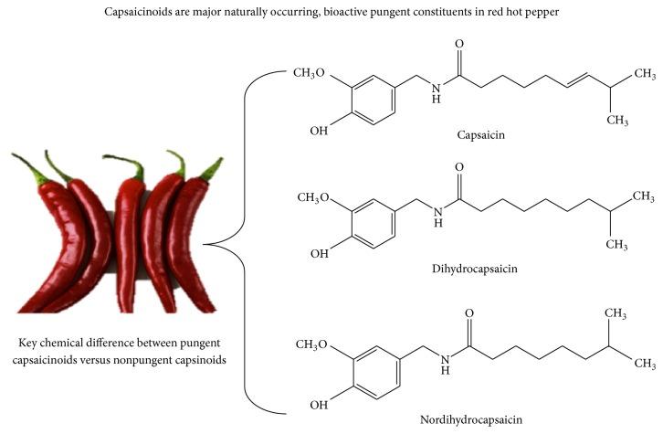https://cdn.ncbi.nlm.nih.gov/pmc/blobs/f73c/4893589/51b79329b921/JNME2016-4986937.001.jpg