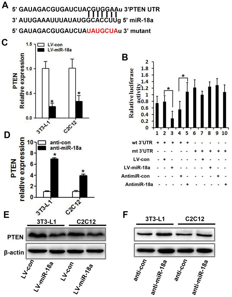 https://cdn.ncbi.nlm.nih.gov/pmc/blobs/f73d/7835052/3dad63785af4/aging-13-202319-g004.jpg