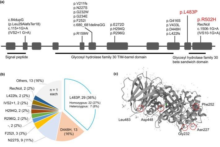 https://cdn.ncbi.nlm.nih.gov/pmc/blobs/f73e/10980885/033c74bf1650/MGG3-12-e2427-g001.jpg