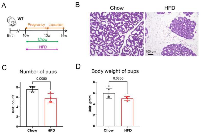 https://cdn.ncbi.nlm.nih.gov/pmc/blobs/f73e/9311998/2b94ad40ab9b/biology-11-01023-g001.jpg