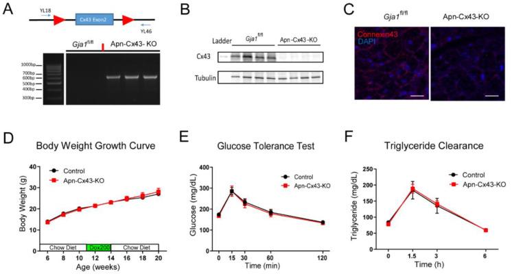 https://cdn.ncbi.nlm.nih.gov/pmc/blobs/f73e/9311998/c15e774e1868/biology-11-01023-g003.jpg