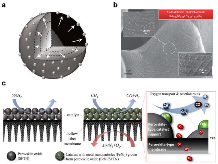 https://cdn.ncbi.nlm.nih.gov/pmc/blobs/f740/10386144/94dee3a45e15/membranes-13-00621-g013.jpg