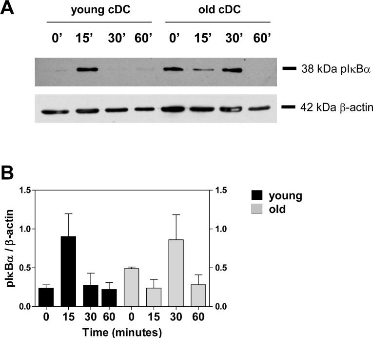 https://cdn.ncbi.nlm.nih.gov/pmc/blobs/f740/4608578/3617673b2d1b/pone.0140672.g006.jpg