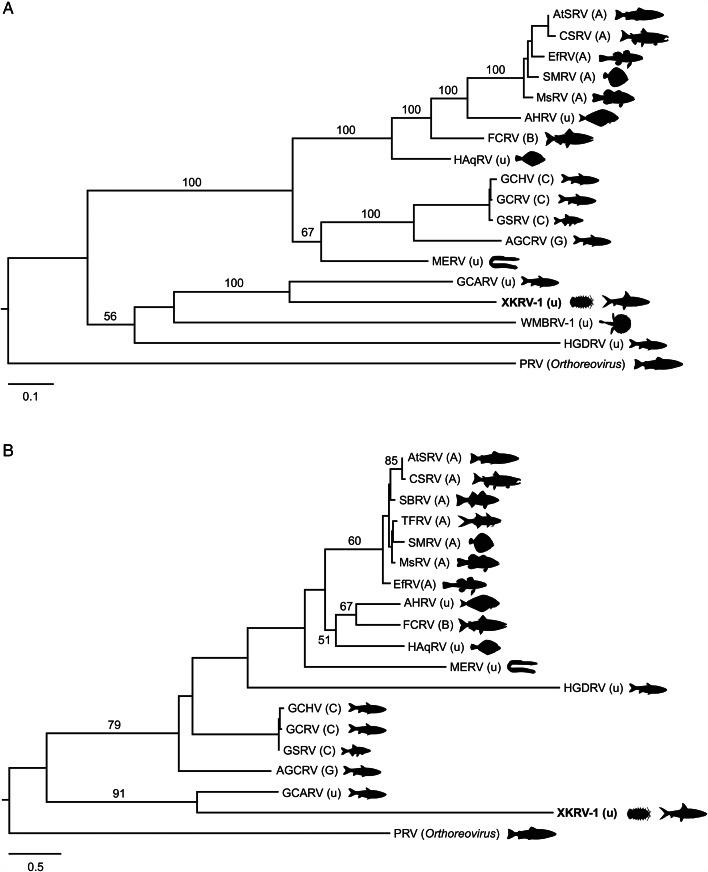 https://cdn.ncbi.nlm.nih.gov/pmc/blobs/f741/11894014/dd07c3e1eda9/S003118202400146X_fig4.jpg