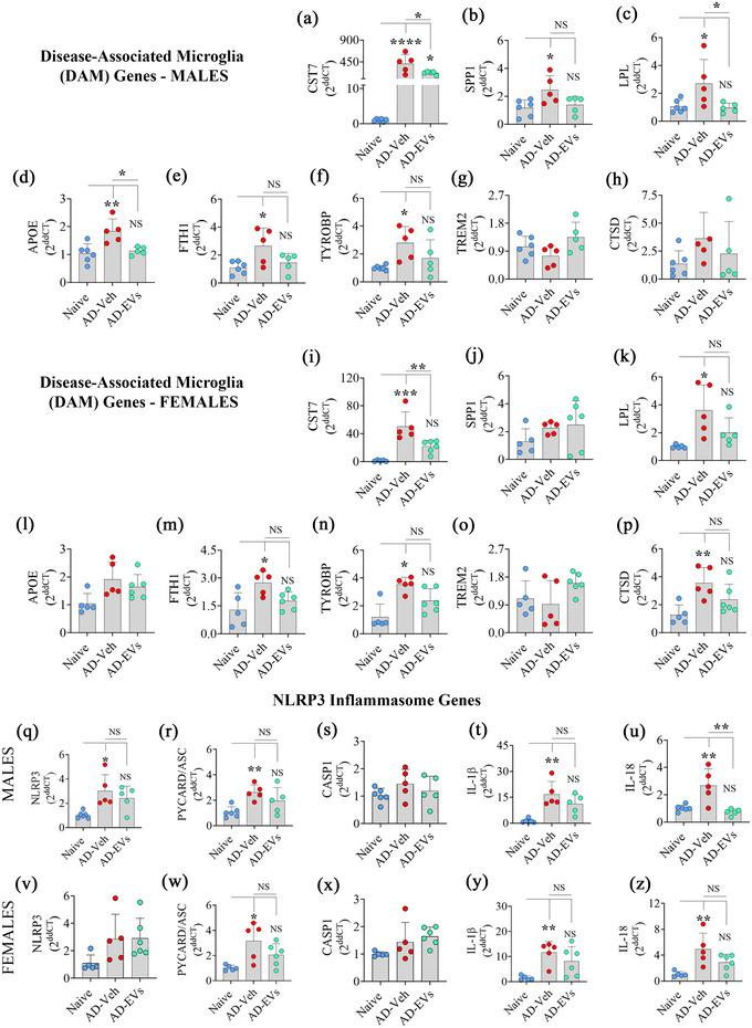 https://cdn.ncbi.nlm.nih.gov/pmc/blobs/f742/11536387/03801f12833d/JEV2-13-e12519-g004.jpg