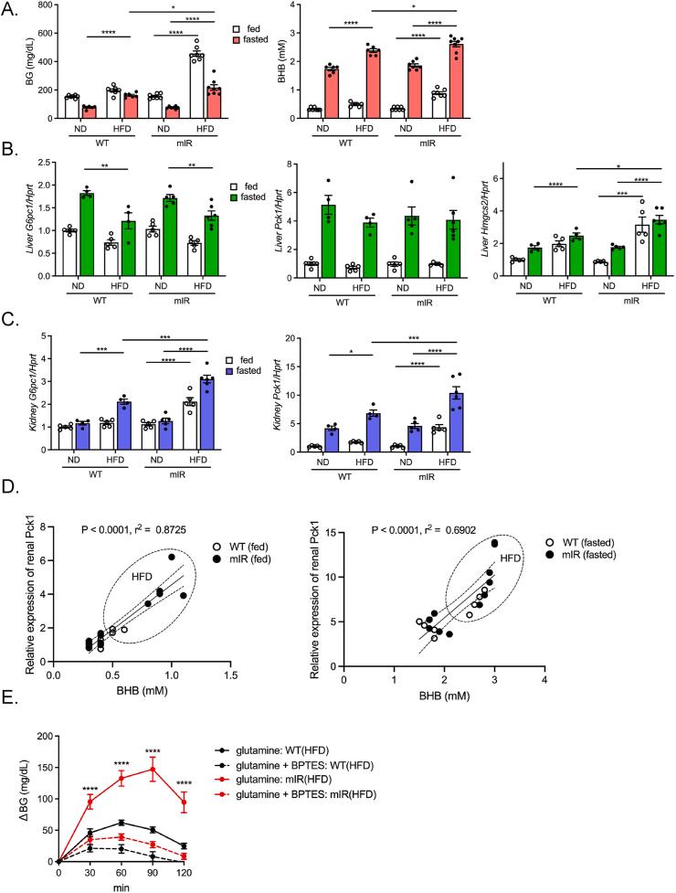 https://cdn.ncbi.nlm.nih.gov/pmc/blobs/f743/11039402/c003eef3e6c9/gr4a.jpg