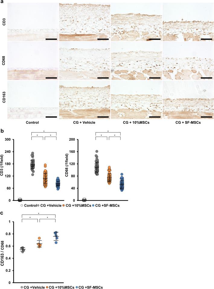 https://cdn.ncbi.nlm.nih.gov/pmc/blobs/f745/7986267/5ce1eed43a99/13287_2021_2273_Fig3_HTML.jpg