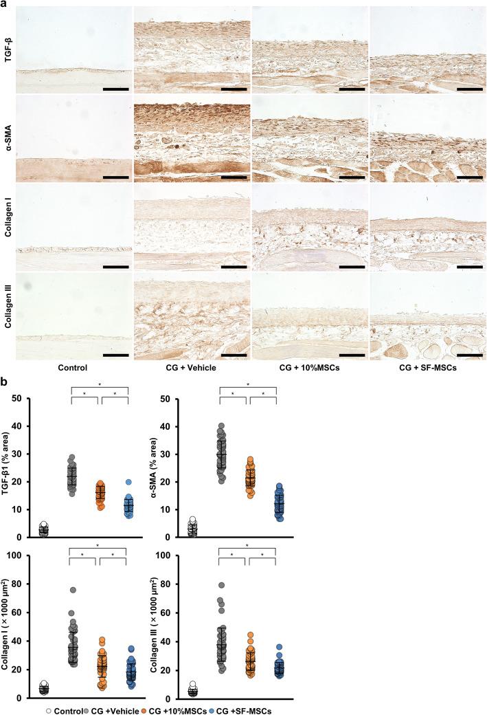 https://cdn.ncbi.nlm.nih.gov/pmc/blobs/f745/7986267/74093b3a963b/13287_2021_2273_Fig2_HTML.jpg