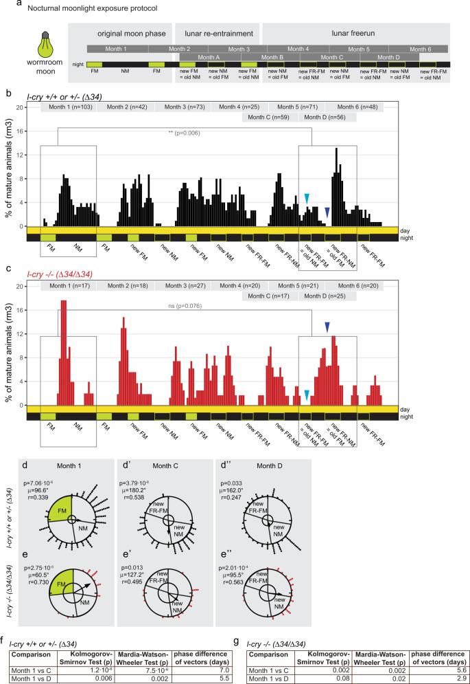 https://cdn.ncbi.nlm.nih.gov/pmc/blobs/f746/9445029/c97211a27394/41467_2022_32562_Fig3_HTML.jpg