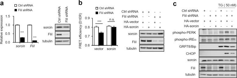 https://cdn.ncbi.nlm.nih.gov/pmc/blobs/f747/7338537/939e9aac08f7/12276_2020_448_Fig6_HTML.jpg