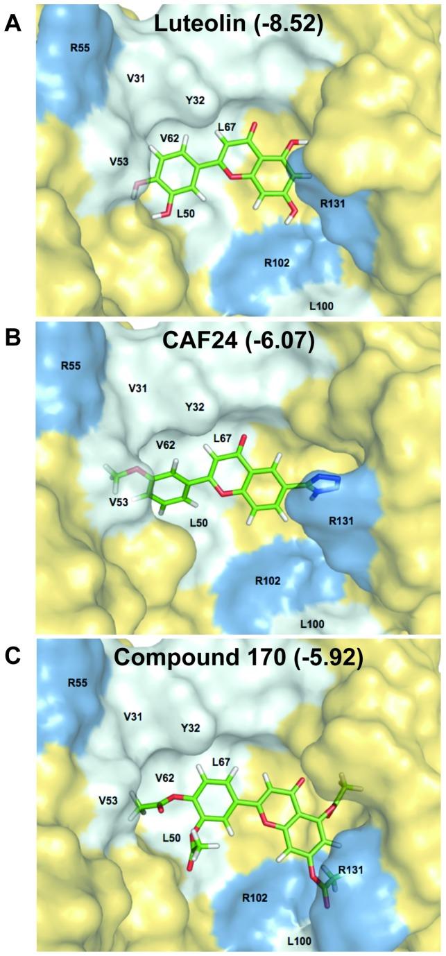https://cdn.ncbi.nlm.nih.gov/pmc/blobs/f749/3871595/cf2ee611fe6b/pone.0084506.g011.jpg
