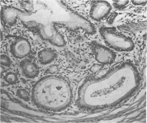 https://cdn.ncbi.nlm.nih.gov/pmc/blobs/f74a/1637449/816615f286ef/envhper00480-0142-c.jpg