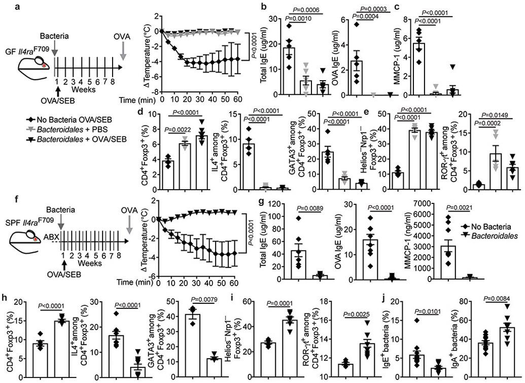 https://cdn.ncbi.nlm.nih.gov/pmc/blobs/f74a/6677395/5ade76b12407/nihms-1527415-f0012.jpg