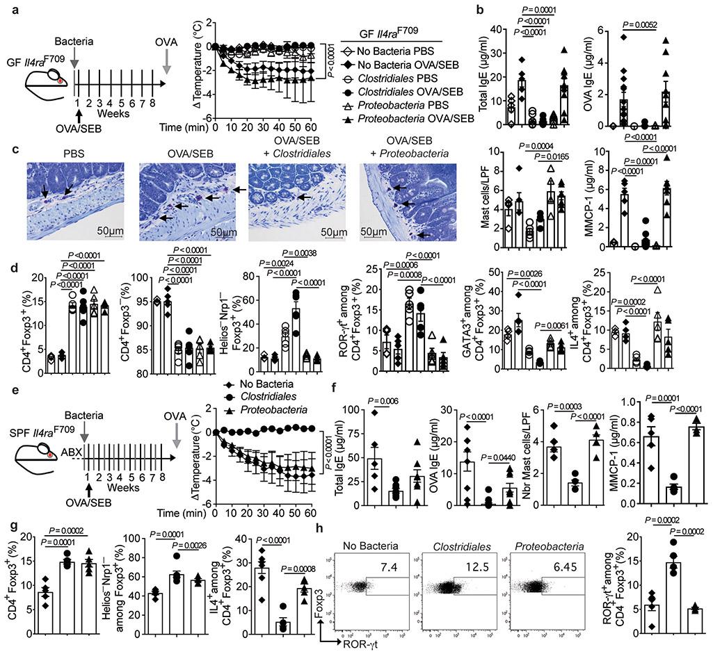 https://cdn.ncbi.nlm.nih.gov/pmc/blobs/f74a/6677395/6d1e719c0142/nihms-1527415-f0003.jpg