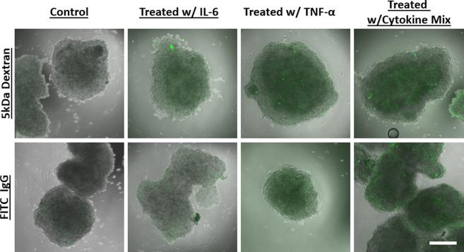https://cdn.ncbi.nlm.nih.gov/pmc/blobs/f74a/7299970/b74adf763335/41598_2020_66487_Fig5_HTML.jpg