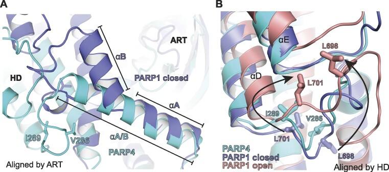 https://cdn.ncbi.nlm.nih.gov/pmc/blobs/f74c/10711553/8a1a0bcd9320/gkad1064fig3.jpg