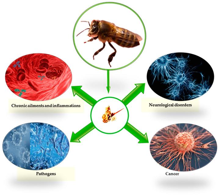 https://cdn.ncbi.nlm.nih.gov/pmc/blobs/f74c/9965945/a2fcdedab6cb/vetsci-10-00119-g001.jpg