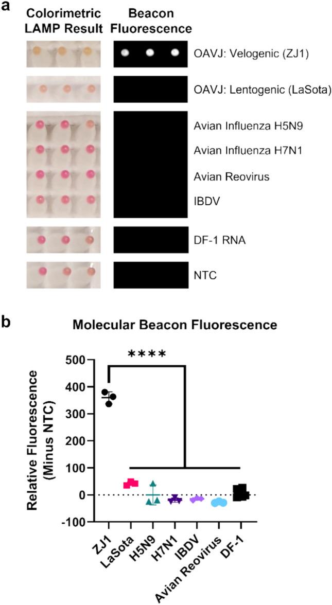 https://cdn.ncbi.nlm.nih.gov/pmc/blobs/f74e/11300668/45095ee5545a/41598_2024_68816_Fig4_HTML.jpg