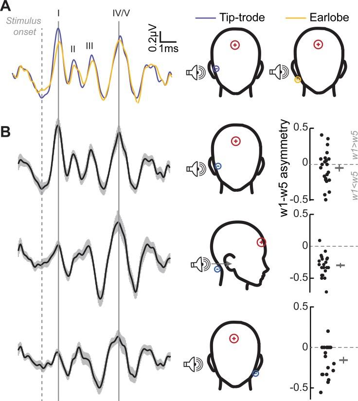 https://cdn.ncbi.nlm.nih.gov/pmc/blobs/f752/6974362/d9a35424b323/elife-51419-fig2-figsupp1.jpg