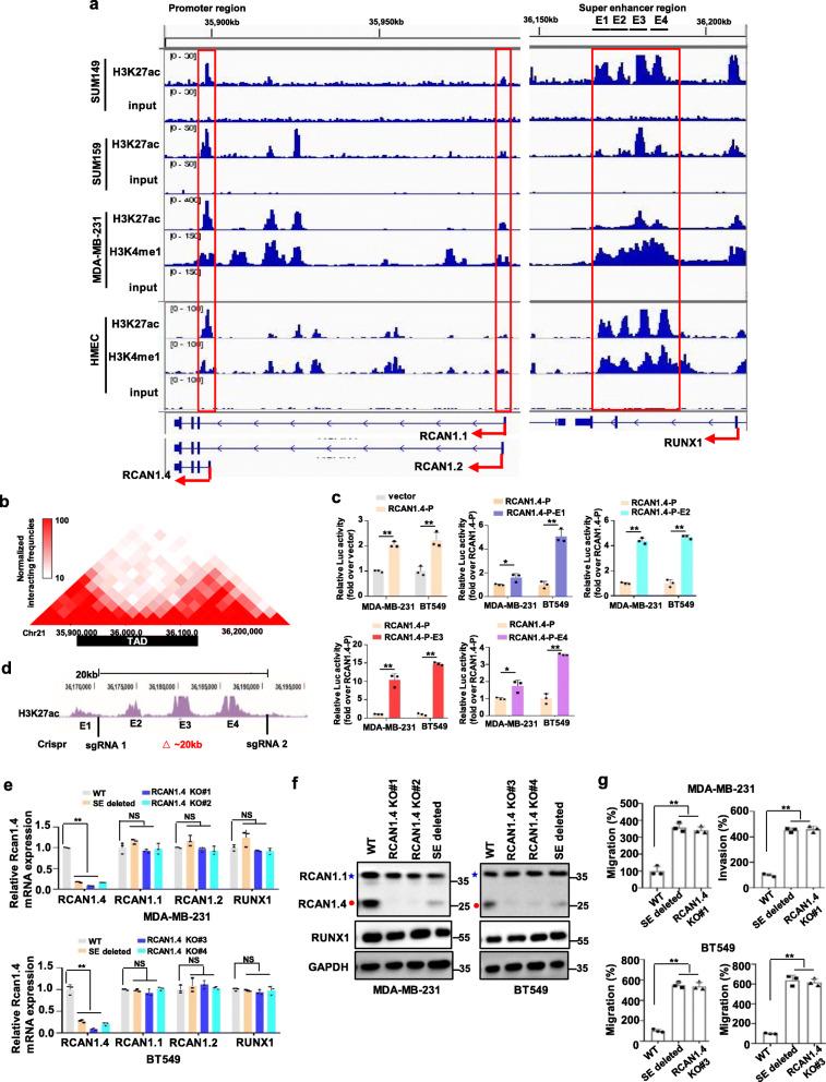 https://cdn.ncbi.nlm.nih.gov/pmc/blobs/f752/7414732/e911890fd8f9/12943_2020_1236_Fig3_HTML.jpg