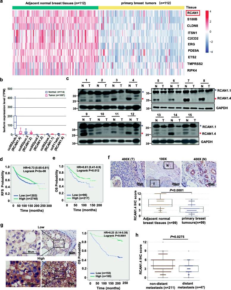https://cdn.ncbi.nlm.nih.gov/pmc/blobs/f752/7414732/f45ed72feecc/12943_2020_1236_Fig1_HTML.jpg