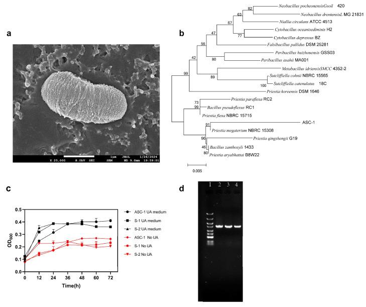 https://cdn.ncbi.nlm.nih.gov/pmc/blobs/f755/11052324/484d8c43c832/microorganisms-12-00832-g001.jpg