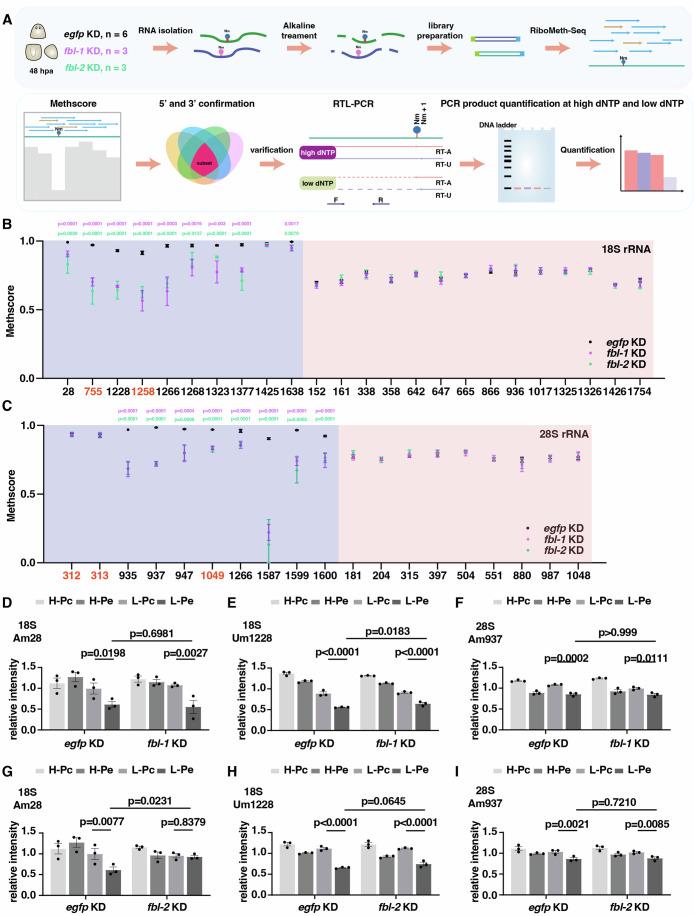 https://cdn.ncbi.nlm.nih.gov/pmc/blobs/f759/11649923/9b854fdbcecb/44318_2024_315_Fig4_HTML.jpg