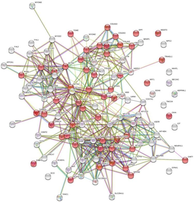 https://cdn.ncbi.nlm.nih.gov/pmc/blobs/f75b/5979550/79dc00101298/ijms-19-01032-g001.jpg