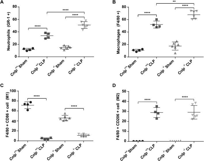 https://cdn.ncbi.nlm.nih.gov/pmc/blobs/f75b/7011568/08399459663a/13054_2020_2754_Fig6_HTML.jpg
