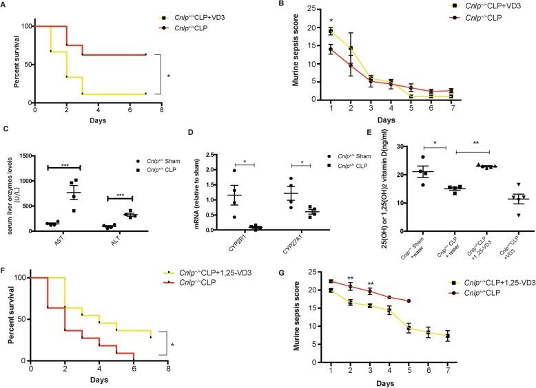 https://cdn.ncbi.nlm.nih.gov/pmc/blobs/f75b/7011568/27bdc1141546/13054_2020_2754_Fig10_HTML.jpg