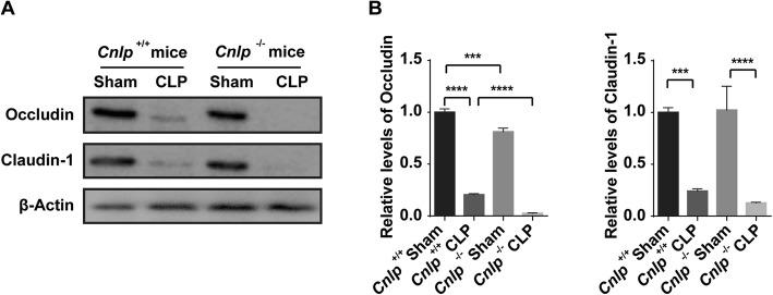 https://cdn.ncbi.nlm.nih.gov/pmc/blobs/f75b/7011568/436d1ec5f413/13054_2020_2754_Fig3_HTML.jpg