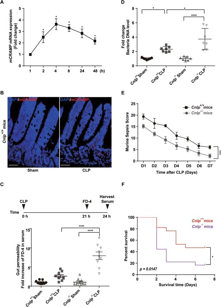 https://cdn.ncbi.nlm.nih.gov/pmc/blobs/f75b/7011568/6561161a0e39/13054_2020_2754_Fig1_HTML.jpg