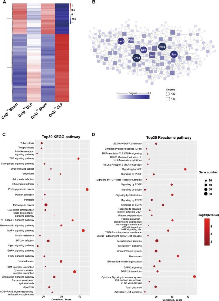 https://cdn.ncbi.nlm.nih.gov/pmc/blobs/f75b/7011568/6adddf85606c/13054_2020_2754_Fig5_HTML.jpg
