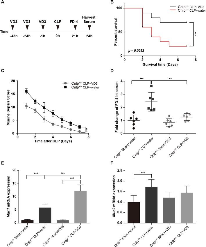 https://cdn.ncbi.nlm.nih.gov/pmc/blobs/f75b/7011568/baa5436aaa71/13054_2020_2754_Fig8_HTML.jpg