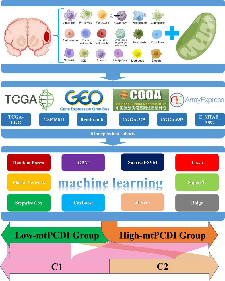 https://cdn.ncbi.nlm.nih.gov/pmc/blobs/f75c/10474752/0fed9a712b05/12967_2023_4468_Fig1_HTML.jpg