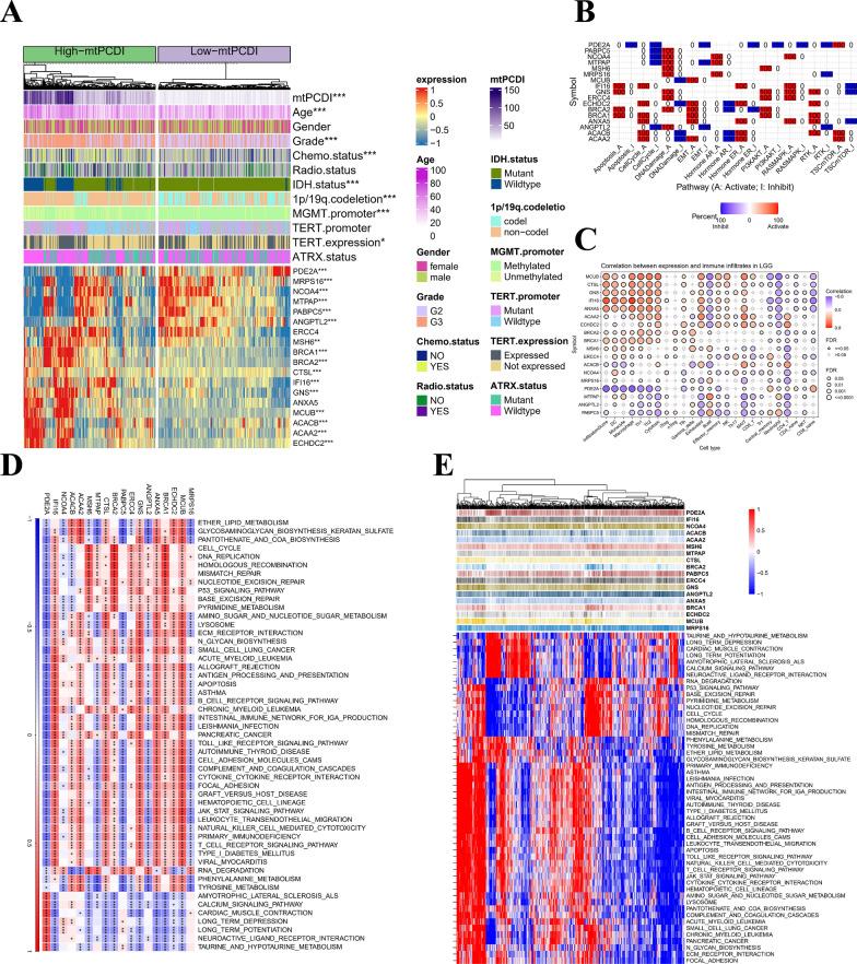 https://cdn.ncbi.nlm.nih.gov/pmc/blobs/f75c/10474752/8a13b693b201/12967_2023_4468_Fig3_HTML.jpg