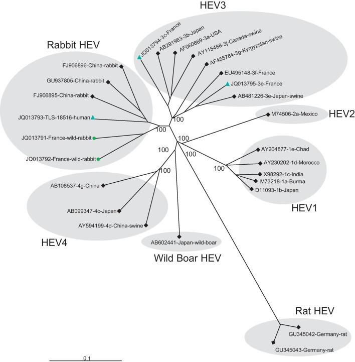 https://cdn.ncbi.nlm.nih.gov/pmc/blobs/f75d/7172140/cc7710866ae8/gr2_lrg.jpg