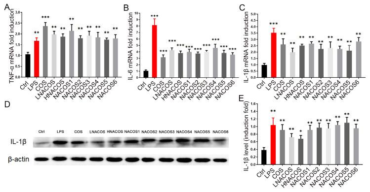 https://cdn.ncbi.nlm.nih.gov/pmc/blobs/f75d/7460392/2d63f80ba3b4/marinedrugs-18-00421-g002.jpg