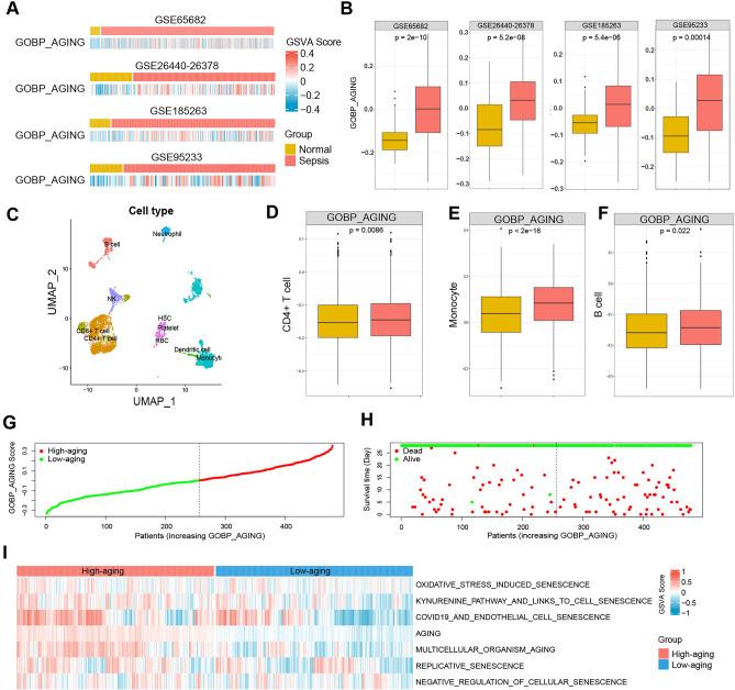 https://cdn.ncbi.nlm.nih.gov/pmc/blobs/f75f/11682178/05e3c8f7ec37/41598_2024_83111_Fig1_HTML.jpg
