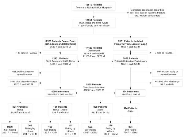 https://cdn.ncbi.nlm.nih.gov/pmc/blobs/f75f/1526725/fb5ef9267a11/1471-2458-6-87-1.jpg
