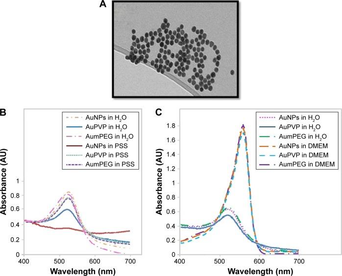 https://cdn.ncbi.nlm.nih.gov/pmc/blobs/f75f/5732551/dcf2158582e0/ijn-12-8813Fig1.jpg