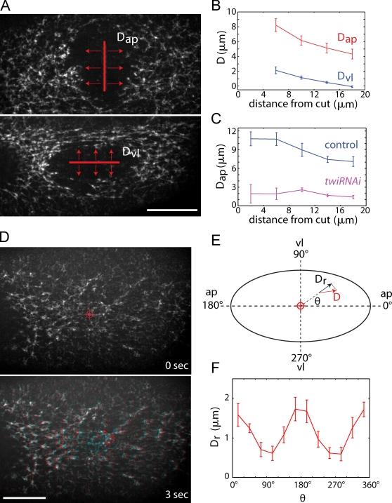 https://cdn.ncbi.nlm.nih.gov/pmc/blobs/f760/2835944/218296d8741c/JCB_200910099R_RGB_Fig3.jpg